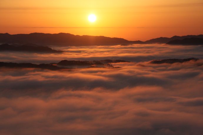 佐用町の大撫山山頂で見れる朝霧