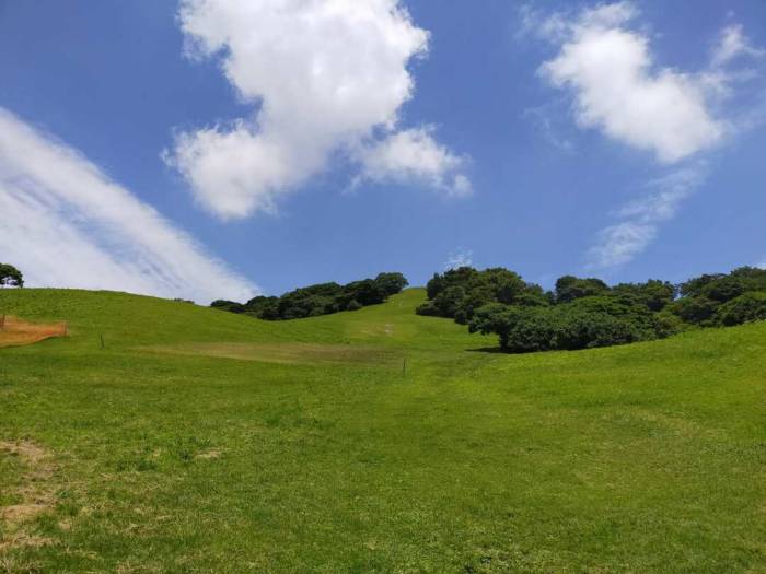 佐賀県三養基郡基山町の基山山頂