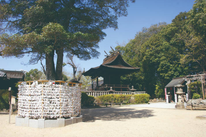 阿智神社の境内と縁結びの木