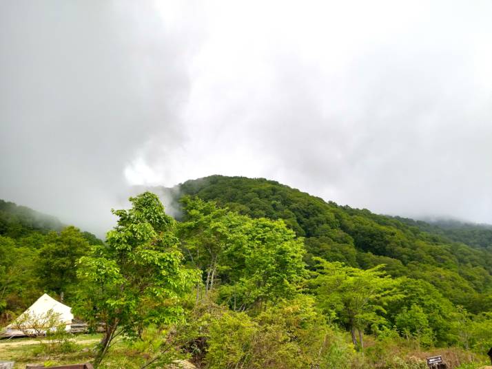 長野県北安曇郡小谷村にある雨飾高原キャンプ場の6月の様子