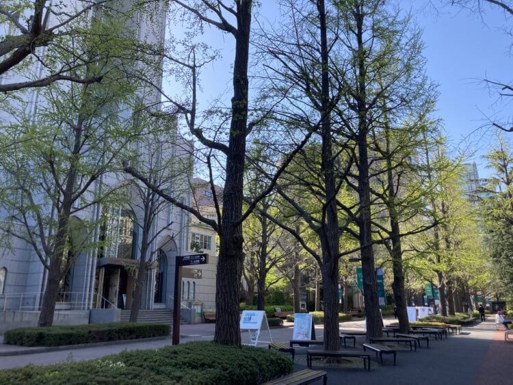 青山学院キャンパスの風景