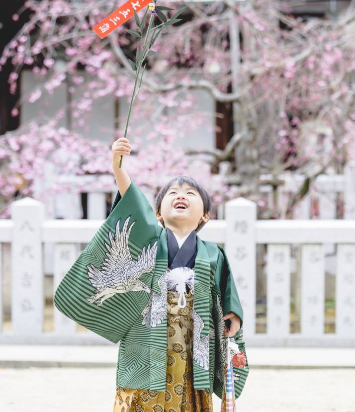 芦屋神社における桜シーズンの七五三風景