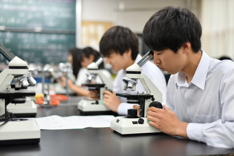 顕微鏡を使い、理科の実験を行う生徒たち