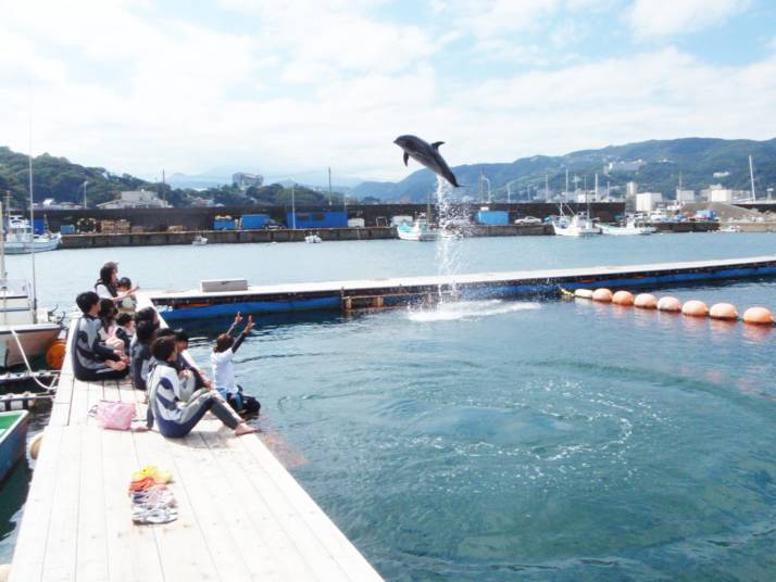 静岡県伊東市にあるドルフィンファンタジー伊東でイルカを眺め喜ぶ家族