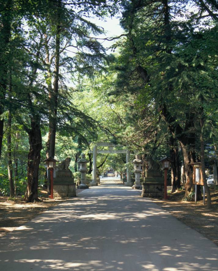 久伊豆神社の参道