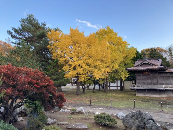 北海道岩内郡にある岩内神社の社殿と紅葉