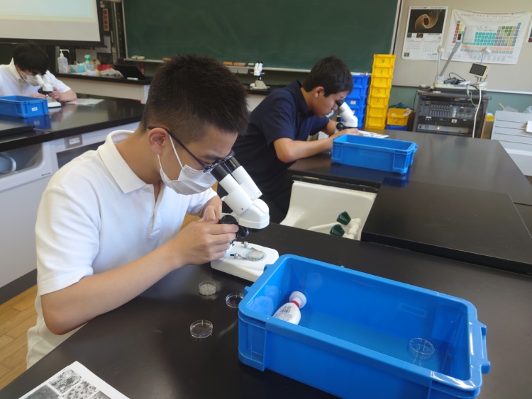 鎌倉学園中学校・高等学校の理科室で顕微鏡を覗きこむ生徒たち