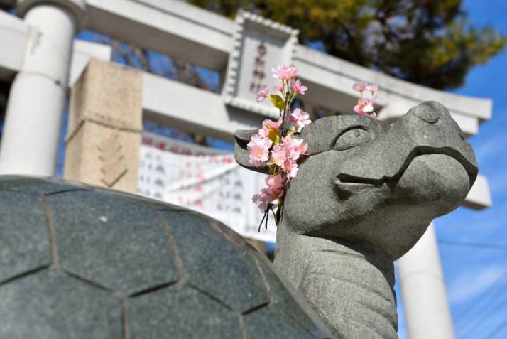 「亀有香取神社」境内にある「狛亀像」