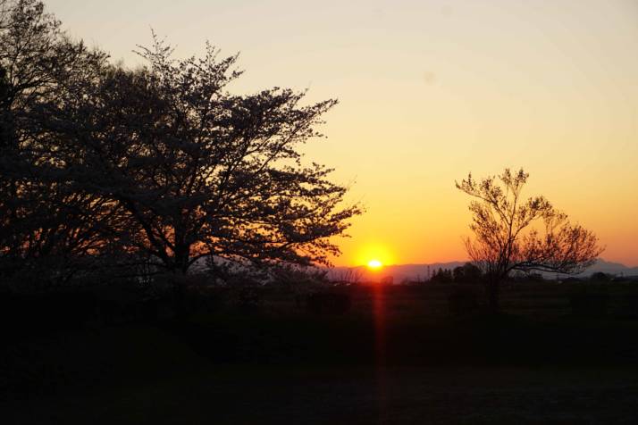 サンアメニティ北本キャンプフィールドで見られる夕日