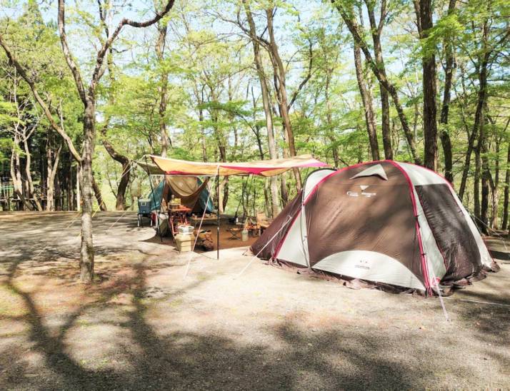 まほーばの森キャンプ場のキャンプサイト