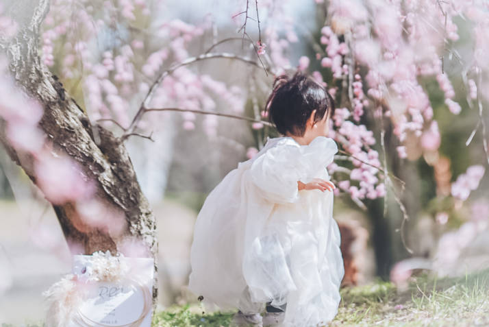 満開の花が咲いた木の下でドレスを着て歩く赤ちゃんの写真