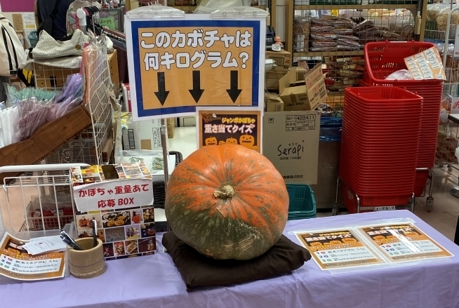 「道の駅 藤川宿」の秋のイベント「ジャンボかぼちゃの重さ当てクイズ」