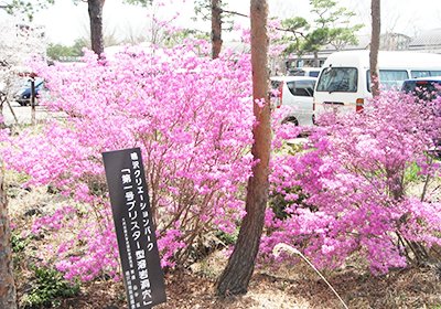「道の駅なるさわ」に併設の「なるさわ富士山博物」付属した「自然探索路」