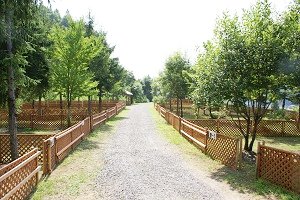 柵で囲われている「N.E.W奥長良キャンプ場＆WANKO」のサイト