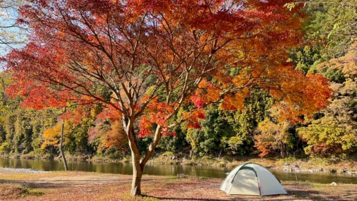 「上小川レジャーペンション」の「オートキャンプサイト」でのキャンプ風景（秋）