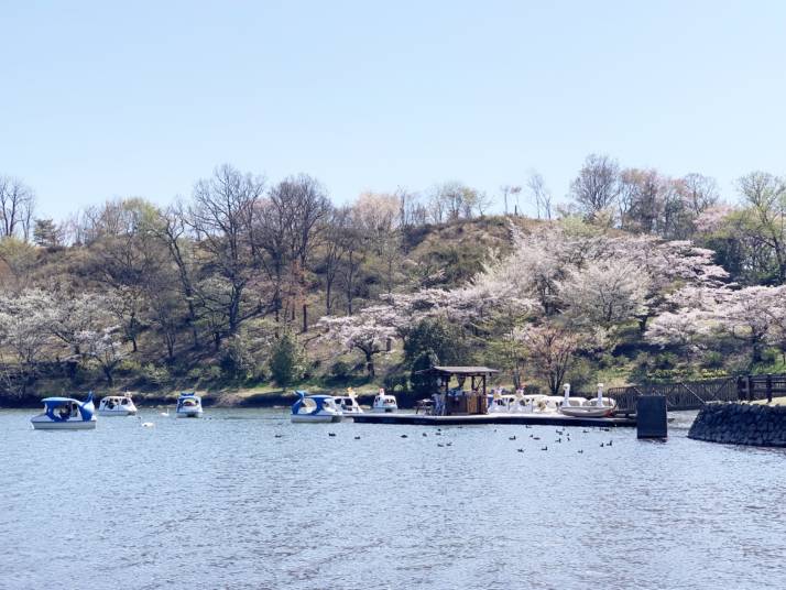 RECAMP別府志高湖のペダルボートの風景