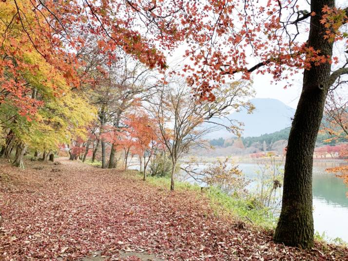 RECAMP別府志高湖の秋の光景
