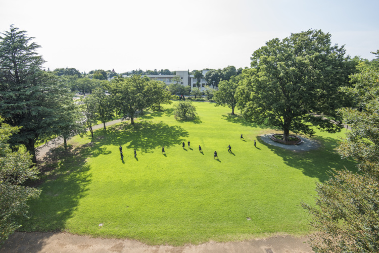 麗澤中学・高等学校の校内に広がる芝生
