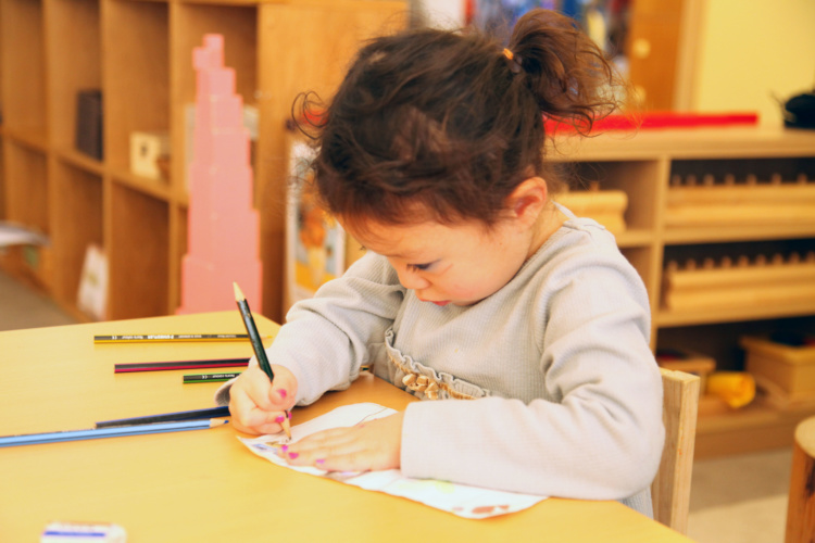 RYOZAN PARK Montessoriに通う子どもが絵を描くようす