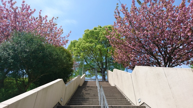 精道三川台中学高等学校の校舎に続く階段
