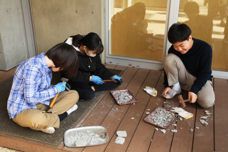 成城学園初等学校の児童が化石の発掘体験をするようす