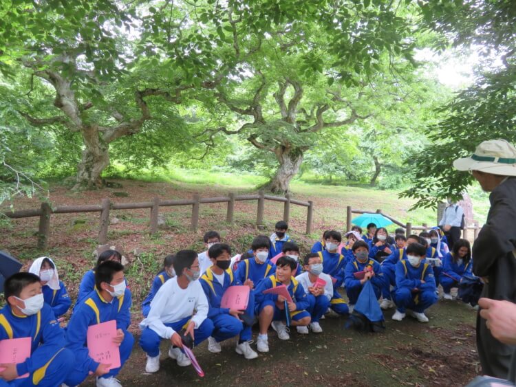 「広島新庄中学校・高等学校」の探究学習でテングシデ群落を訪れた生徒たち