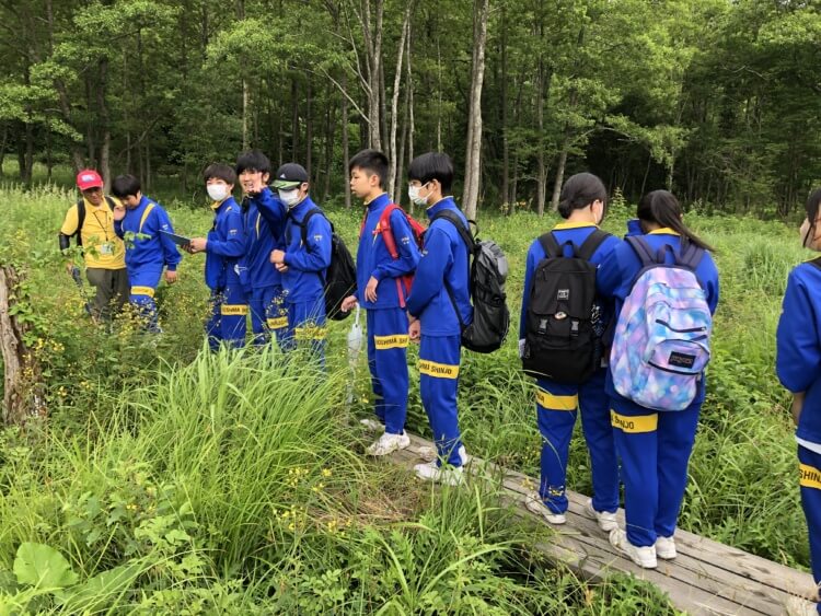 「広島新庄中学校・高等学校」の探究学習で八幡湿原をトレッキングするようす