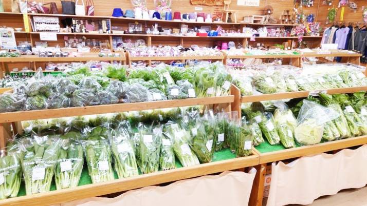 「道の駅すえよし 四季祭市場」の直売所内で販売される地場の野菜類