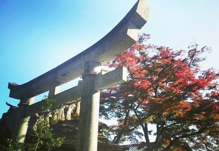 館腰神社における紅葉の風景