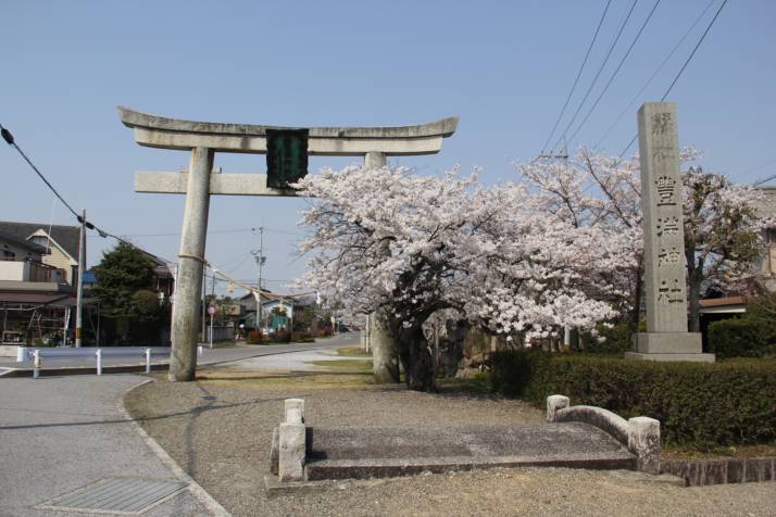 豊満神社第一鳥居と桜の美しい光景