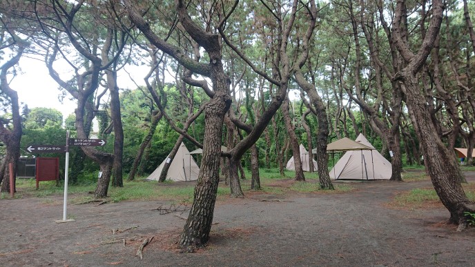「ちがさき柳島キャンプ場」のテントサイト風景