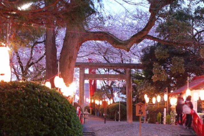 「米之宮浅間神社」の夕暮れ時の境内
