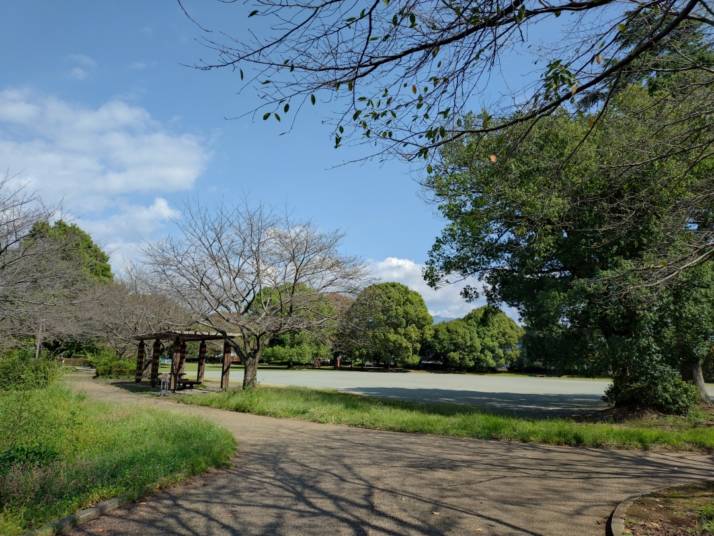 「米之宮浅間神社」の境内に隣接する｢米之宮公園｣