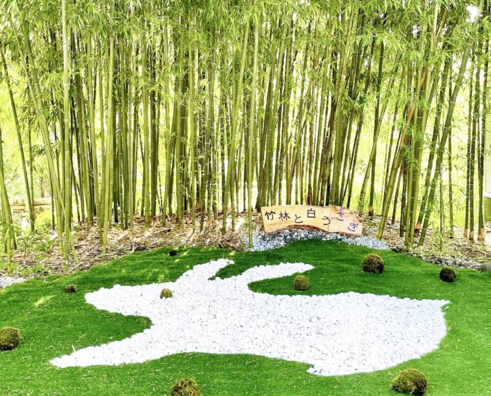 北海道函館市の湯倉神社にある竹林と白うさぎ