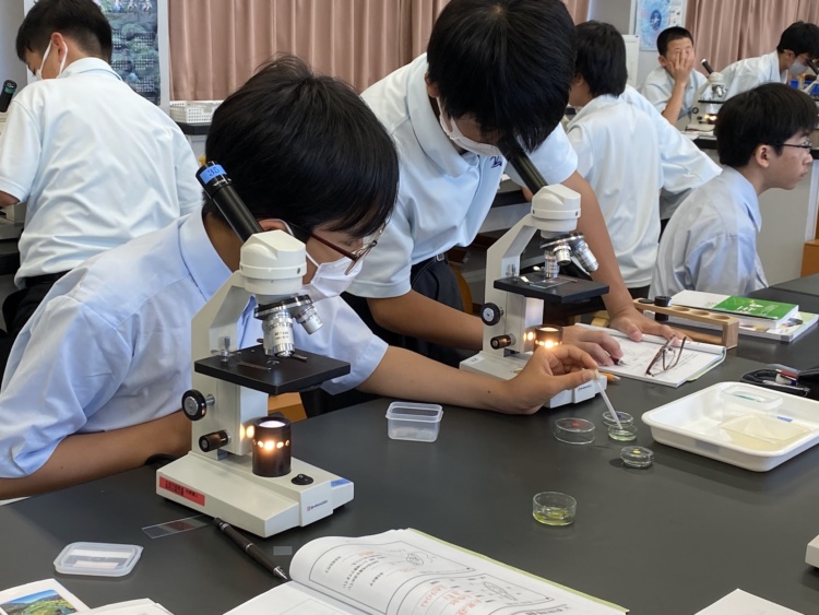 逗子開成中学校・高等学校において顕微鏡で実験を行う生徒たち