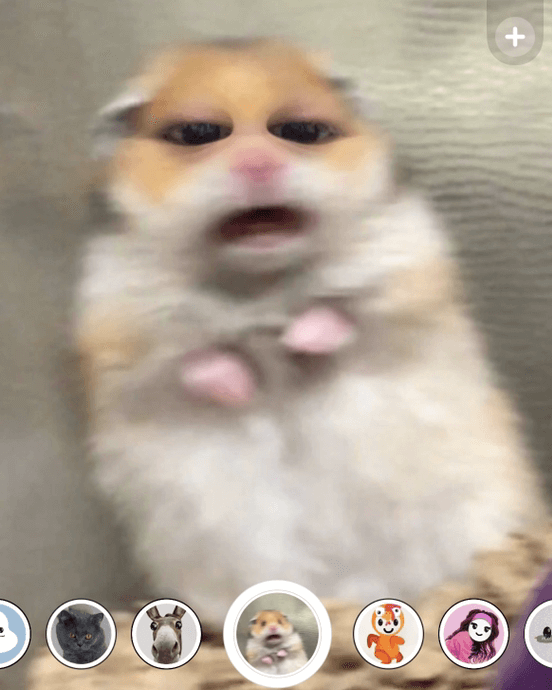 カップルアプリ「snapchat」のエフェクト機能を利用している写真