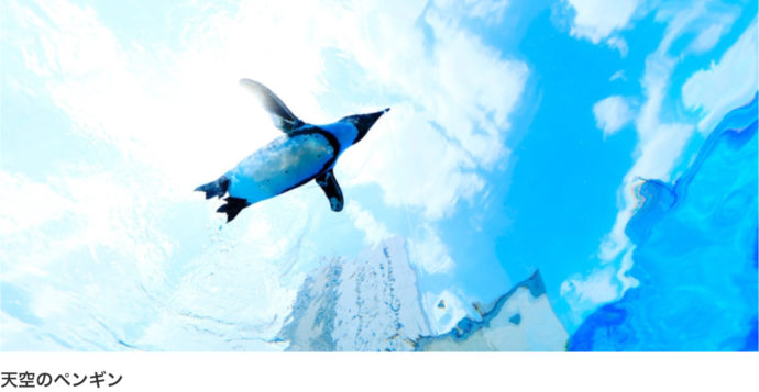 サンシャイン水族館の公式ホームページのスクリーンショット画像
